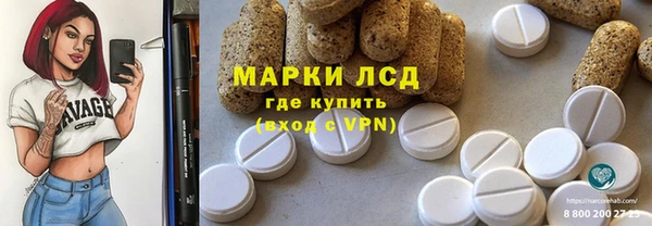 apvp Алзамай