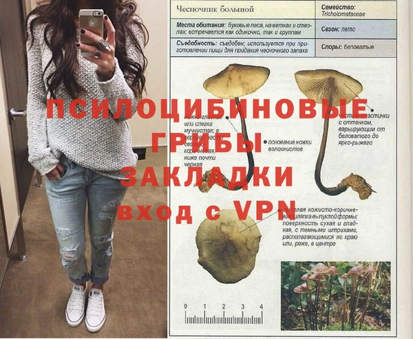 apvp Алзамай