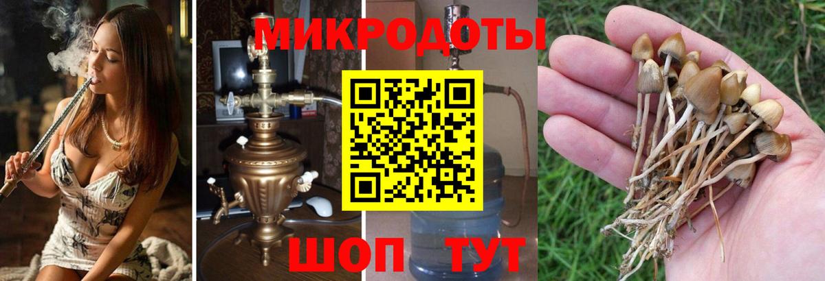 Новоуральск  Псилоцибиновые грибы MAGIC MUSHROOMS  Псилоцибиновые грибы мухоморы  Вход с VPN 